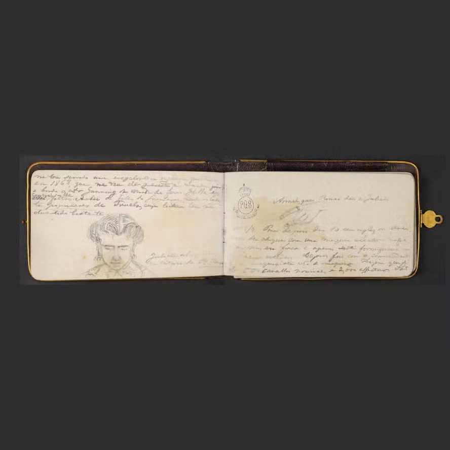 The Travels of D. Pedro II in Brazil and Around the World